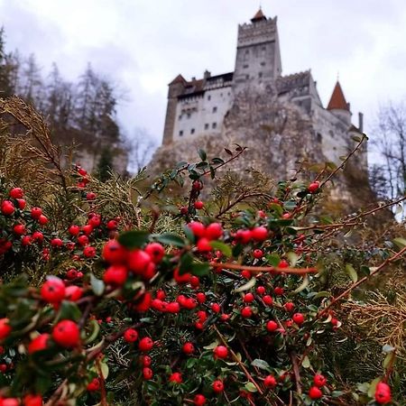 Pensiunea Antonio Bran Бран Экстерьер фото