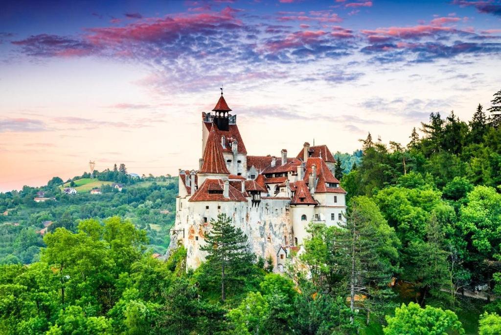 Pensiunea Antonio Bran Бран Экстерьер фото