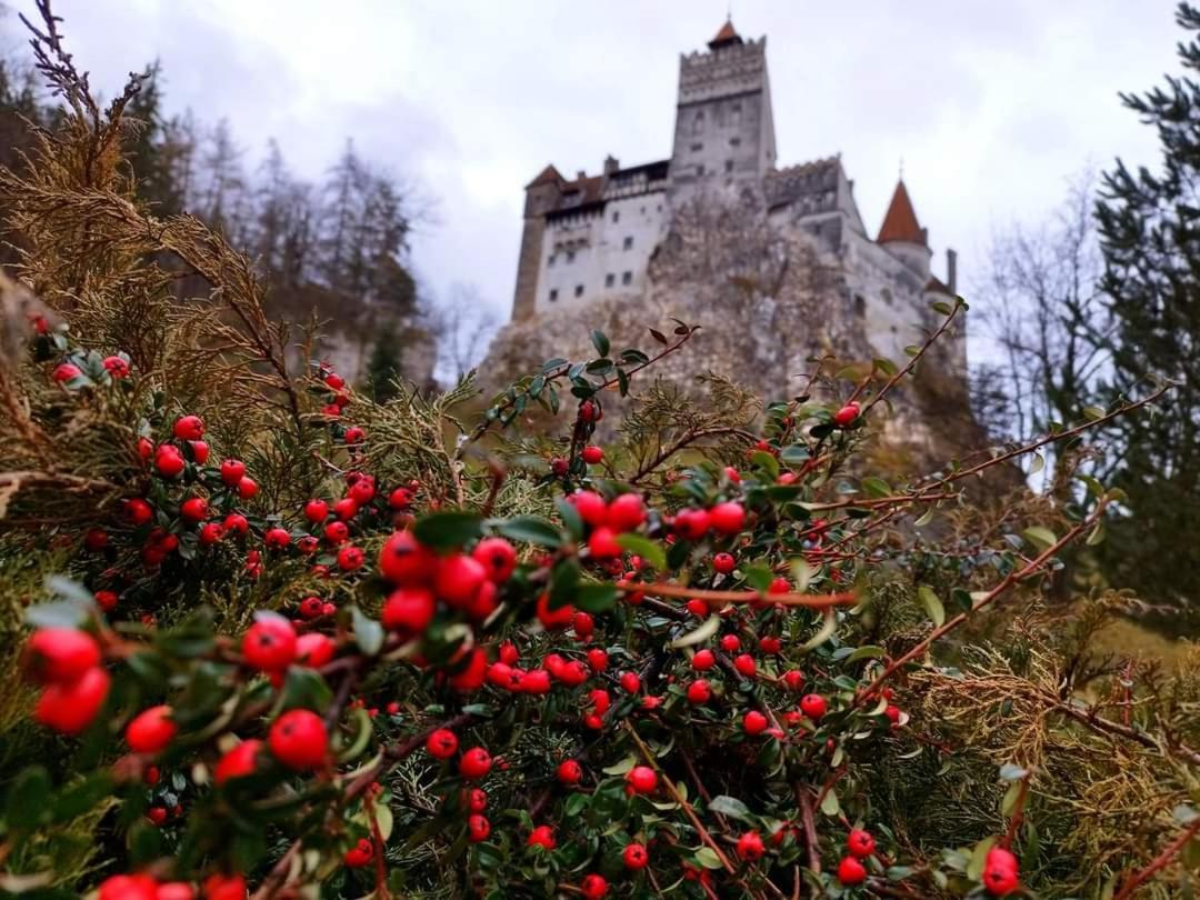 Pensiunea Antonio Bran Бран Экстерьер фото