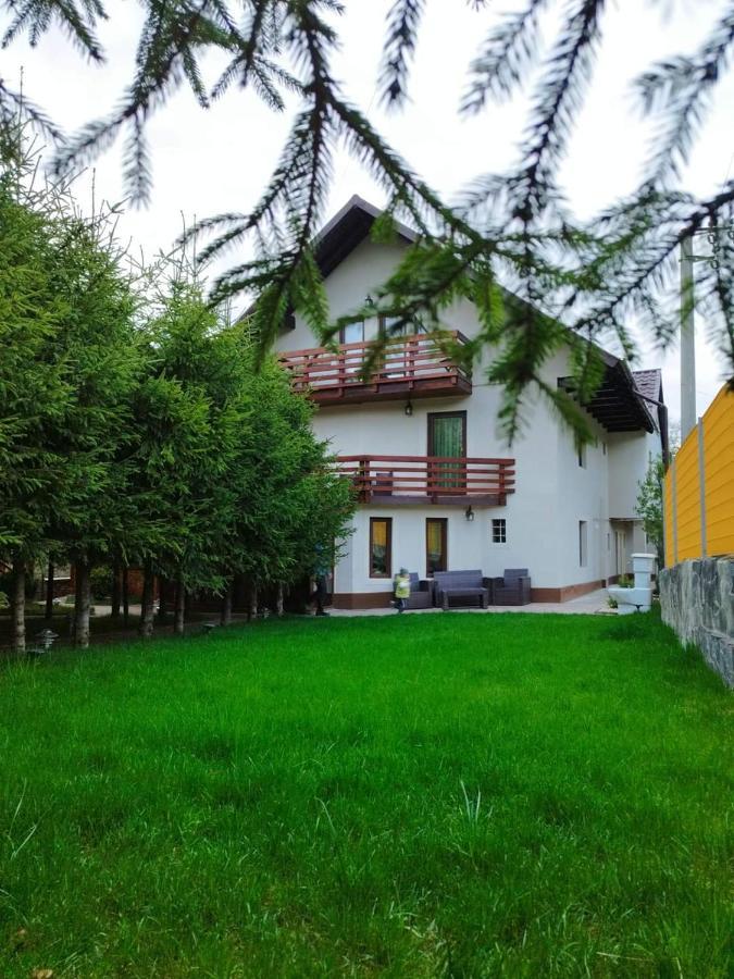 Pensiunea Antonio Bran Бран Экстерьер фото